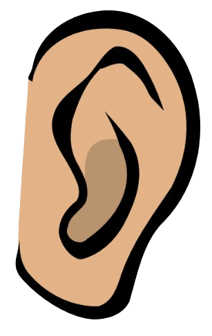 Les maladies de l’oreille et du système auditif